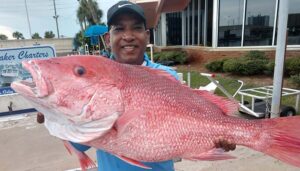 Huge fish catch of the day in Panama City Beach Florida with Saltshaker Charters